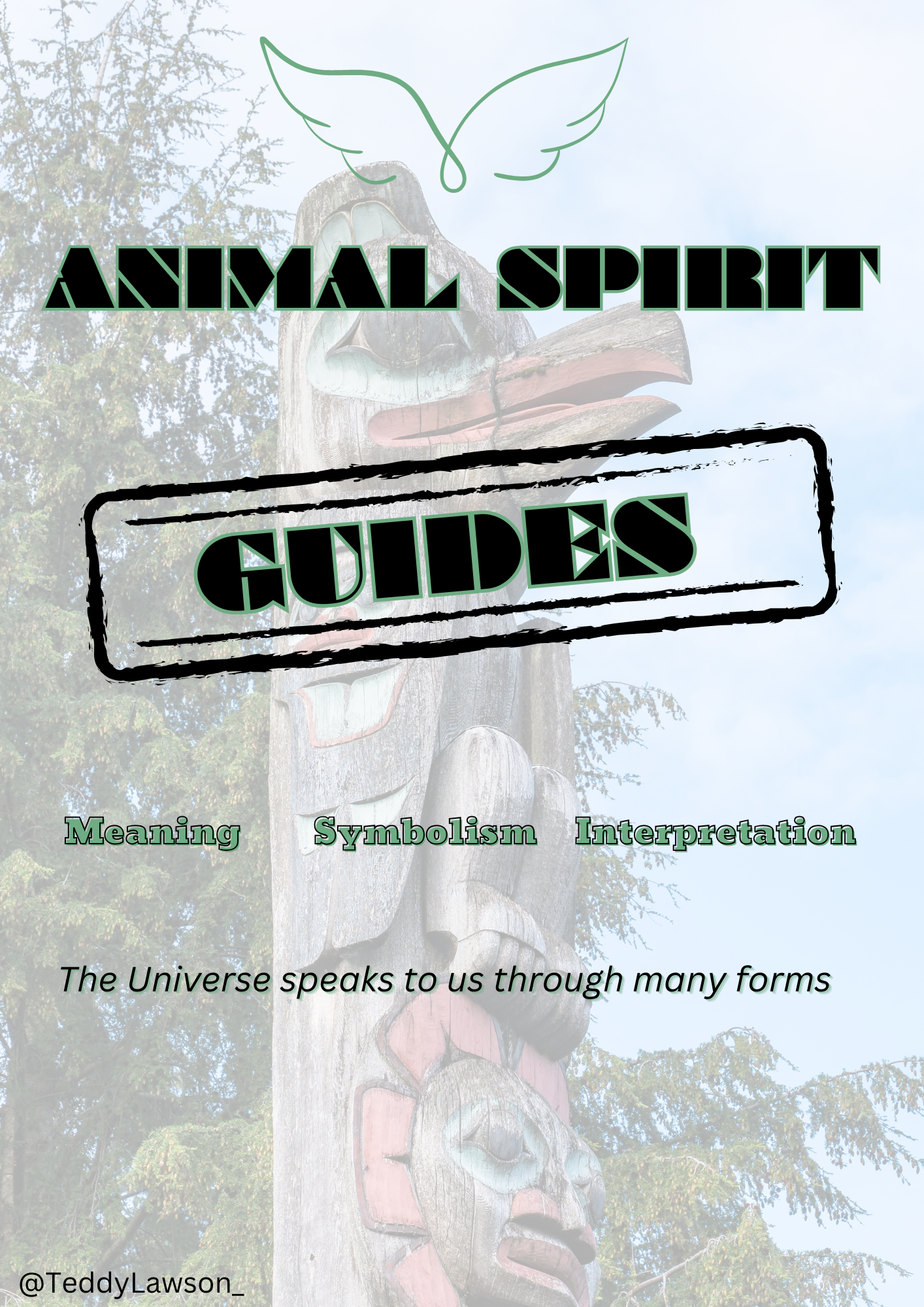 Animal Spirit Guide - Intentions Costa Rica 